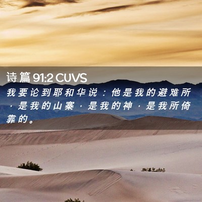 Picture 02 - 诗 篇 91:2 CUVS - 我 要 论 到 耶 和 华 说 ： 他 是 我 - Bible Verse Picture