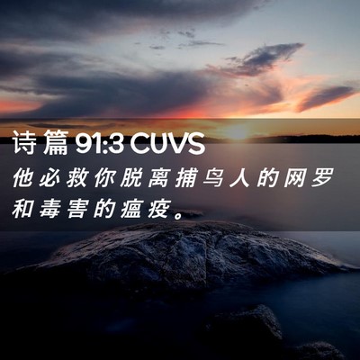 Picture 02 - 诗 篇 91:3 CUVS - 他 必 救 你 脱 离 捕 鸟 人 的 网 罗 - Bible Verse Picture