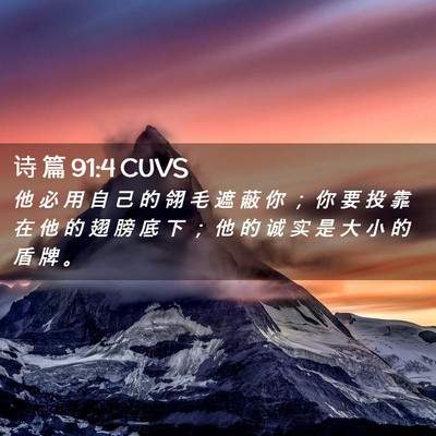 Picture 02 - 诗 篇 91:4 CUVS - 他 必 用 自 己 的 翎 毛 遮 蔽 你 ； - Bible Verse Picture