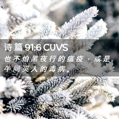Picture 02 - 诗 篇 91:6 CUVS - 也 不 怕 黑 夜 行 的 瘟 疫 ， 或 是 - Bible Verse Picture