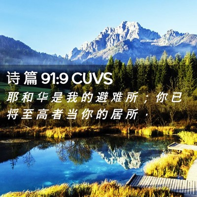 Picture 02 - 诗 篇 91:9 CUVS - 耶 和 华 是 我 的 避 难 所 ； 你 已 - Bible Verse Picture