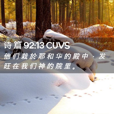 Picture 02 - 诗 篇 92:13 CUVS - 他 们 栽 於 耶 和 华 的 殿 中 ， 发 - Bible Verse Picture