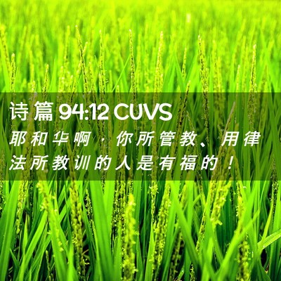 Picture 02 - 诗 篇 94:12 CUVS - 耶 和 华 啊 ， 你 所 管 教 、 用 律 - Bible Verse Picture