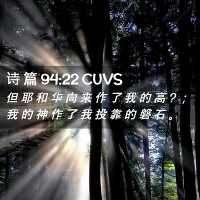 Picture 02 - 诗 篇 94:22 CUVS - 但 耶 和 华 向 来 作 了 我 的 高 ? ； - Bible Verse Picture