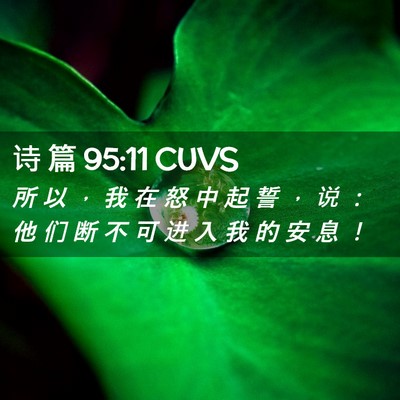 Picture 02 - 诗 篇 95:11 CUVS - 所 以 ， 我 在 怒 中 起 誓 ， 说 ： - Bible Verse Picture