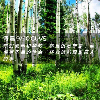 Picture 02 - 诗 篇 97:10 CUVS - 你 们 爱 耶 和 华 的 ， 都 当 恨 恶 - Bible Verse Picture