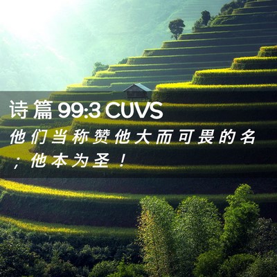 Picture 02 - 诗 篇 99:3 CUVS - 他 们 当 称 赞 他 大 而 可 畏 的 名 - Bible Verse Picture