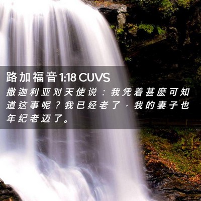 Picture 02 - 路 加 福 音 1:18 CUVS - 撒 迦 利 亚 对 天 使 说 ： 我 凭 着 - Bible Verse Picture