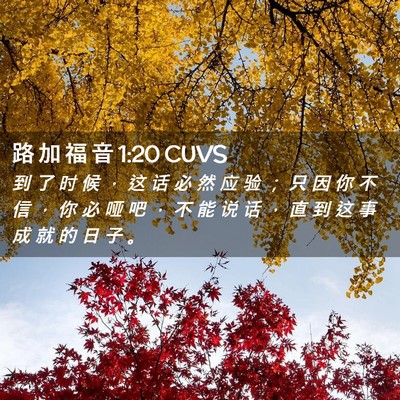 Picture 02 - 路 加 福 音 1:20 CUVS - 到 了 时 候 ， 这 话 必 然 应 验 ； - Bible Verse Picture
