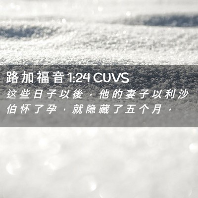 Picture 02 - 路 加 福 音 1:24 CUVS - 这 些 日 子 以 後 ， 他 的 妻 子 以 - Bible Verse Picture