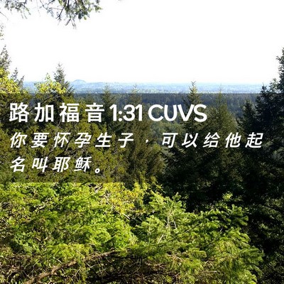 Picture 02 - 路 加 福 音 1:31 CUVS - 你 要 怀 孕 生 子 ， 可 以 给 他 起 - Bible Verse Picture