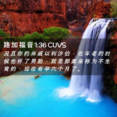 Picture 02 - 路 加 福 音 1:36 CUVS - 况 且 你 的 亲 戚 以 利 沙 伯 ， 在 - Bible Verse Picture