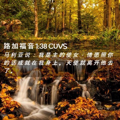 Picture 02 - 路 加 福 音 1:38 CUVS - 马 利 亚 说 ： 我 是 主 的 使 女 ， - Bible Verse Picture