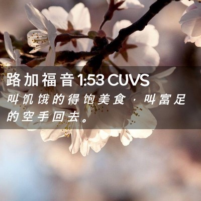 Picture 02 - 路 加 福 音 1:53 CUVS - 叫 饥 饿 的 得 饱 美 食 ， 叫 富 足 - Bible Verse Picture