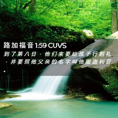 Picture 02 - 路 加 福 音 1:59 CUVS - 到 了 第 八 日 ， 他 们 来 要 给 孩 - Bible Verse Picture
