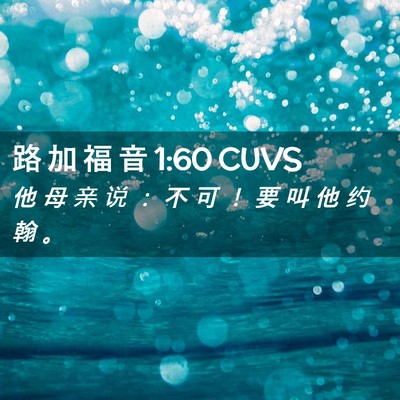 Picture 02 - 路 加 福 音 1:60 CUVS - 他 母 亲 说 ： 不 可 ！ 要 叫 他 约 - Bible Verse Picture
