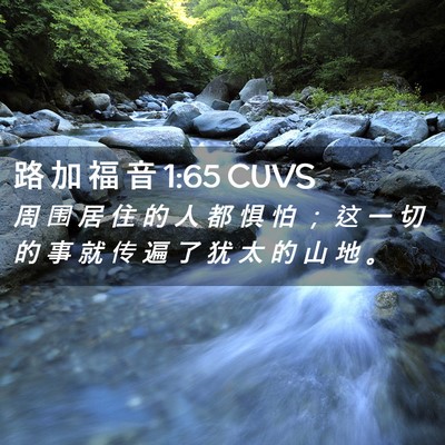 Picture 02 - 路 加 福 音 1:65 CUVS - 周 围 居 住 的 人 都 惧 怕 ; 这 一 - Bible Verse Picture