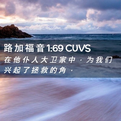 Picture 02 - 路 加 福 音 1:69 CUVS - 在 他 仆 人 大 卫 家 中 ， 为 我 们 - Bible Verse Picture