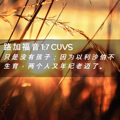 Picture 02 - 路 加 福 音 1:7 CUVS - 只 是 没 有 孩 子 ； 因 为 以 利 沙 - Bible Verse Picture