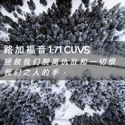 Picture 02 - 路 加 福 音 1:71 CUVS - 拯 救 我 们 脱 离 仇 敌 和 一 切 恨 - Bible Verse Picture