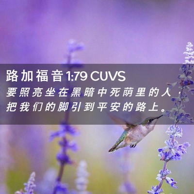 Picture 02 - 路 加 福 音 1:79 CUVS - 要 照 亮 坐 在 黑 暗 中 死 荫 里 的 - Bible Verse Picture