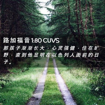 Picture 02 - 路 加 福 音 1:80 CUVS - 那 孩 子 渐 渐 长 大 ， 心 灵 强 健 - Bible Verse Picture