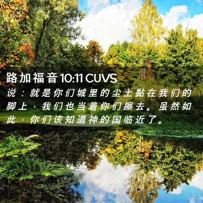 Picture 02 - 路 加 福 音 10:11 CUVS - 说 ： 就 是 你 们 城 里 的 尘 土 黏 - Bible Verse Picture
