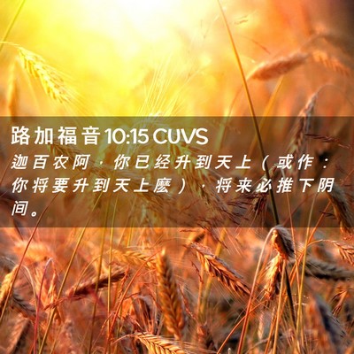 Picture 02 - 路 加 福 音 10:15 CUVS - 迦 百 农 阿 ， 你 已 经 升 到 天 上 - Bible Verse Picture