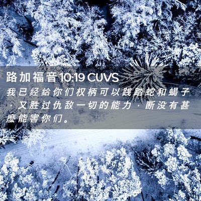 Picture 02 - 路 加 福 音 10:19 CUVS - 我 已 经 给 你 们 权 柄 可 以 践 踏 - Bible Verse Picture