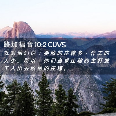 Picture 02 - 路 加 福 音 10:2 CUVS - 就 对 他 们 说 ： 要 收 的 庄 稼 多 - Bible Verse Picture