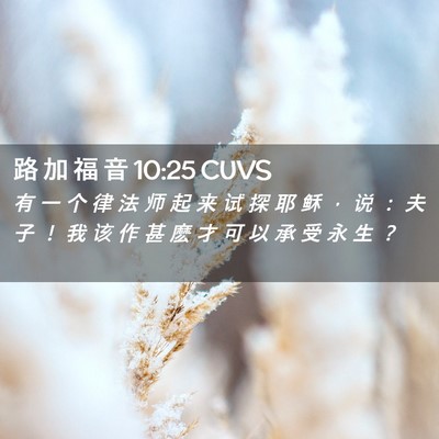 Picture 02 - 路 加 福 音 10:25 CUVS - 有 一 个 律 法 师 起 来 试 探 耶 稣 - Bible Verse Picture