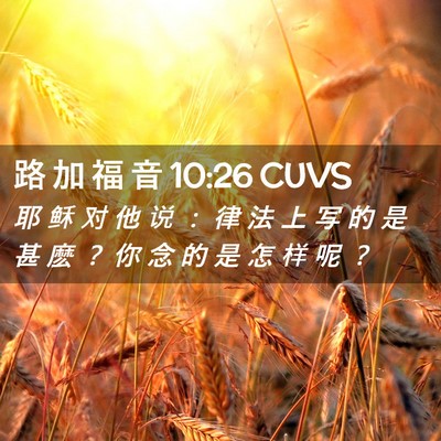 Picture 02 - 路 加 福 音 10:26 CUVS - 耶 稣 对 他 说 ： 律 法 上 写 的 是 - Bible Verse Picture