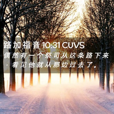 Picture 02 - 路 加 福 音 10:31 CUVS - 偶 然 有 一 个 祭 司 从 这 条 路 下 - Bible Verse Picture