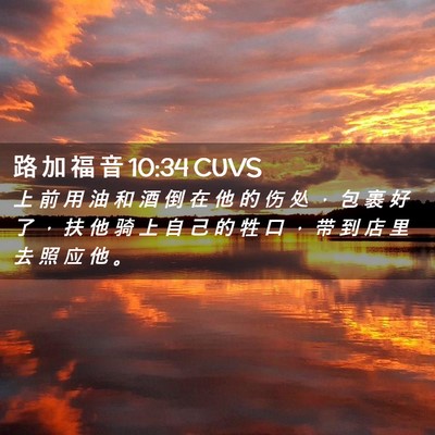 Picture 02 - 路 加 福 音 10:34 CUVS - 上 前 用 油 和 酒 倒 在 他 的 伤 处 - Bible Verse Picture