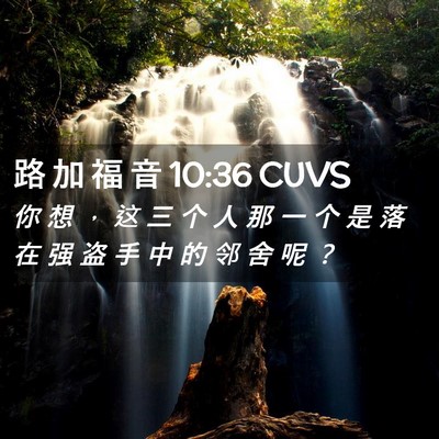 Picture 02 - 路 加 福 音 10:36 CUVS - 你 想 ， 这 三 个 人 那 一 个 是 落 - Bible Verse Picture