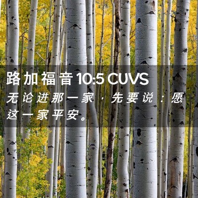 Picture 02 - 路 加 福 音 10:5 CUVS - 无 论 进 那 一 家 ， 先 要 说 ： 愿 - Bible Verse Picture