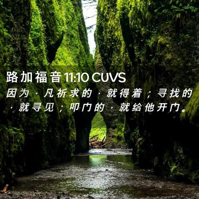 Picture 02 - 路 加 福 音 11:10 CUVS - 因 为 ， 凡 祈 求 的 ， 就 得 着 ； - Bible Verse Picture