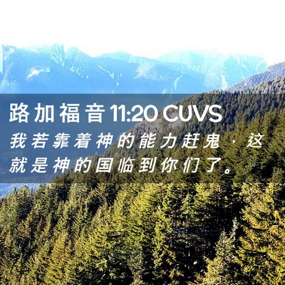 Picture 02 - 路 加 福 音 11:20 CUVS - 我 若 靠 着 神 的 能 力 赶 鬼 ， 这 - Bible Verse Picture