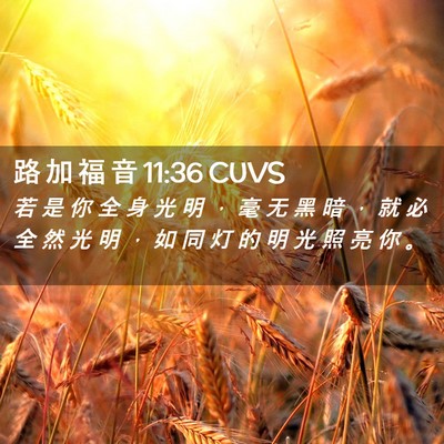 Picture 02 - 路 加 福 音 11:36 CUVS - 若 是 你 全 身 光 明 ， 毫 无 黑 暗 - Bible Verse Picture