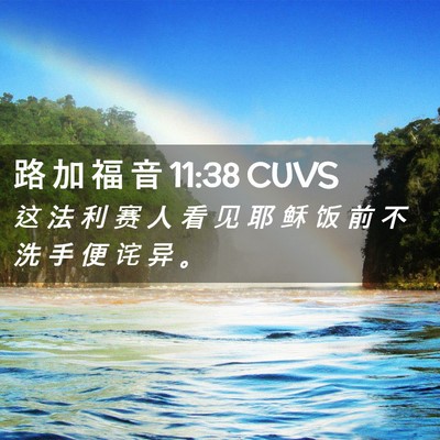 Picture 02 - 路 加 福 音 11:38 CUVS - 这 法 利 赛 人 看 见 耶 稣 饭 前 不 - Bible Verse Picture