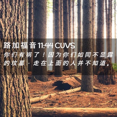 Picture 02 - 路 加 福 音 11:44 CUVS - 你 们 有 祸 了 ！ 因 为 你 们 如 同 - Bible Verse Picture