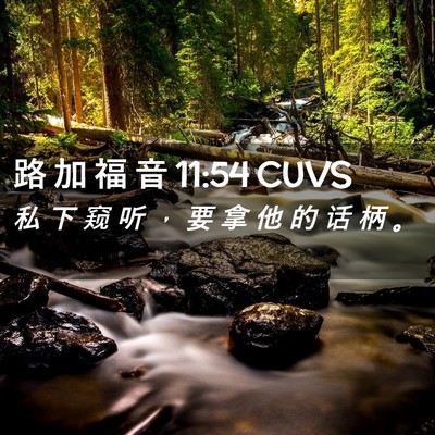 Picture 02 - 路 加 福 音 11:54 CUVS - 私 下 窥 听 ， 要 拿 他 的 话 柄 - Bible Verse Picture