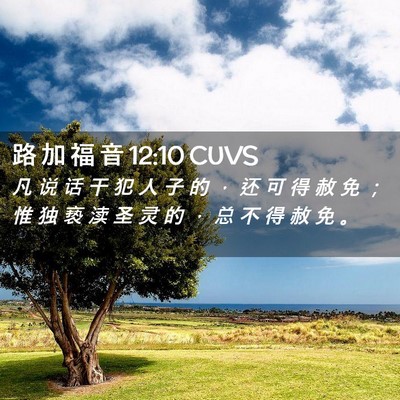 Picture 02 - 路 加 福 音 12:10 CUVS - 凡 说 话 干 犯 人 子 的 ， 还 可 得 - Bible Verse Picture