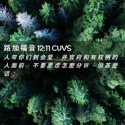 Picture 02 - 路 加 福 音 12:11 CUVS - 人 带 你 们 到 会 堂 ， 并 官 府 和 - Bible Verse Picture