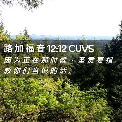 Picture 02 - 路 加 福 音 12:12 CUVS - 因 为 正 在 那 时 候 ， 圣 灵 要 指 - Bible Verse Picture