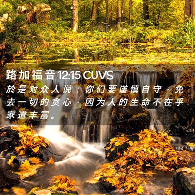 Picture 02 - 路 加 福 音 12:15 CUVS - 於 是 对 众 人 说 ： 你 们 要 谨 慎 - Bible Verse Picture