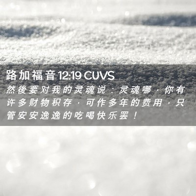 Picture 02 - 路 加 福 音 12:19 CUVS - 然 後 要 对 我 的 灵 魂 说 ： 灵 魂 - Bible Verse Picture
