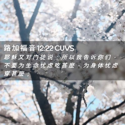 Picture 02 - 路 加 福 音 12:22 CUVS - 耶 稣 又 对 门 徒 说 ： 所 以 我 告 - Bible Verse Picture