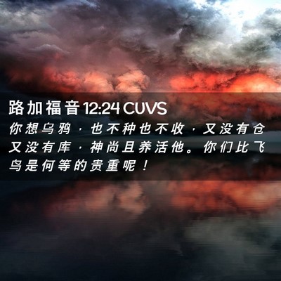 Picture 02 - 路 加 福 音 12:24 CUVS - 你 想 乌 鸦 ， 也 不 种 也 不 收 ， - Bible Verse Picture