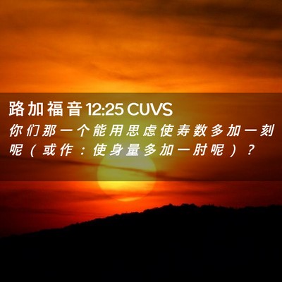 Picture 02 - 路 加 福 音 12:25 CUVS - 你 们 那 一 个 能 用 思 虑 使 寿 数 - Bible Verse Picture